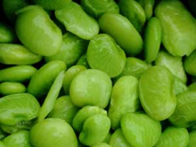 Butter Bean