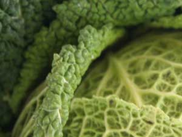 Cabbage (Autumn)