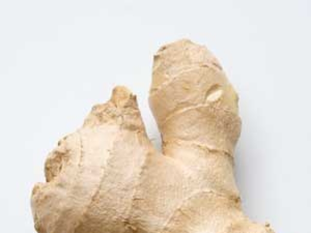 Ginger