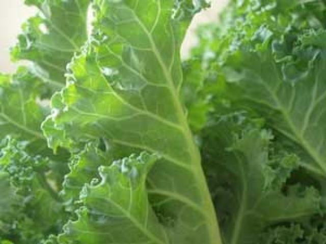 Kale