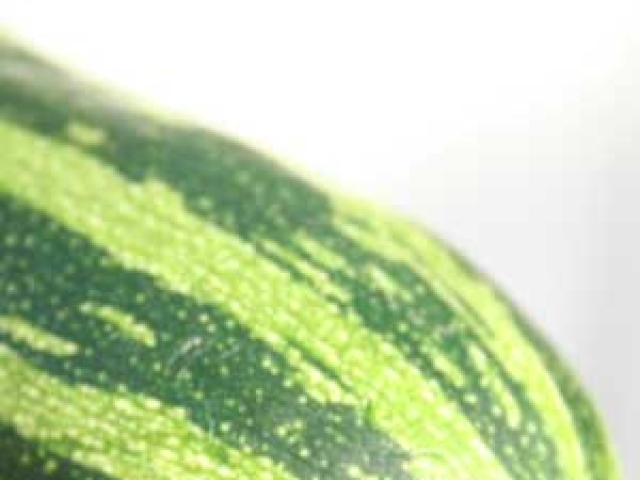 Marrow