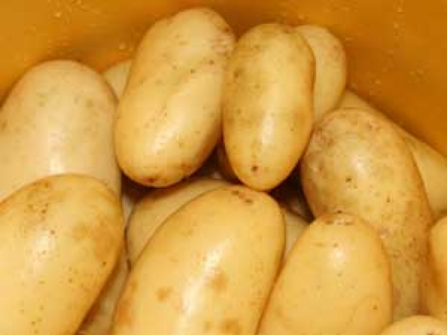 Potatoes (Early)