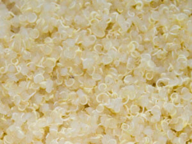 Quinoa