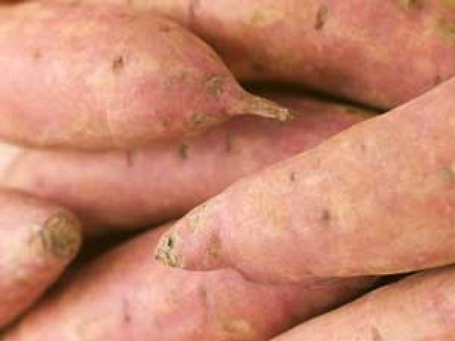 Sweet Potato