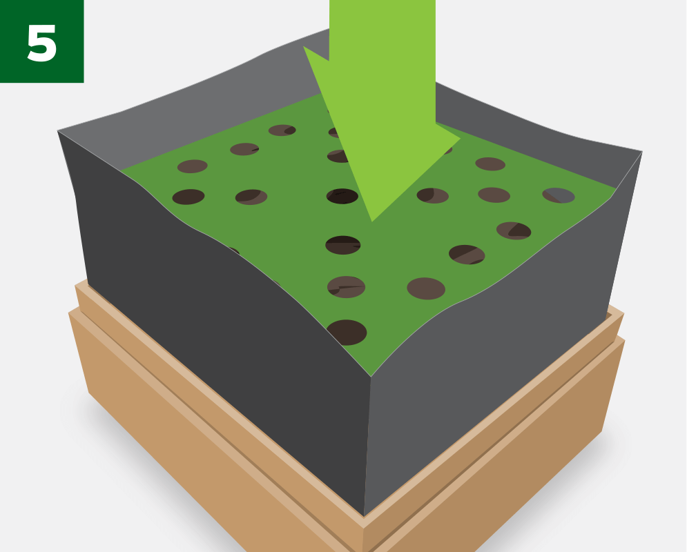 step 5