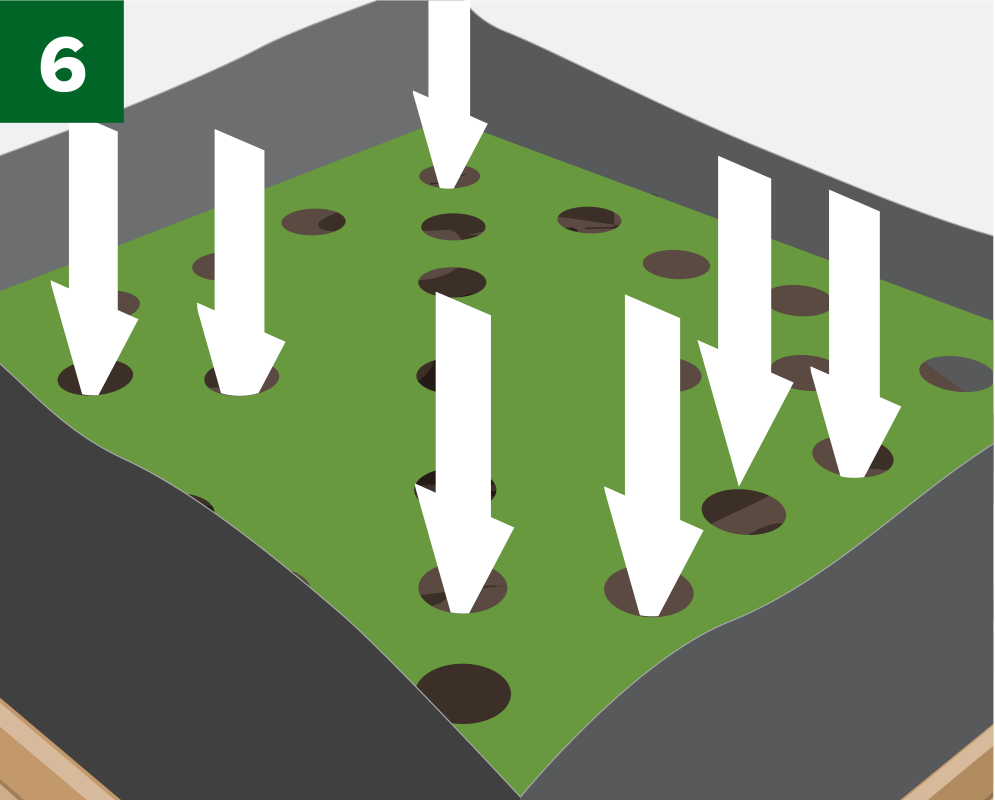 step 6