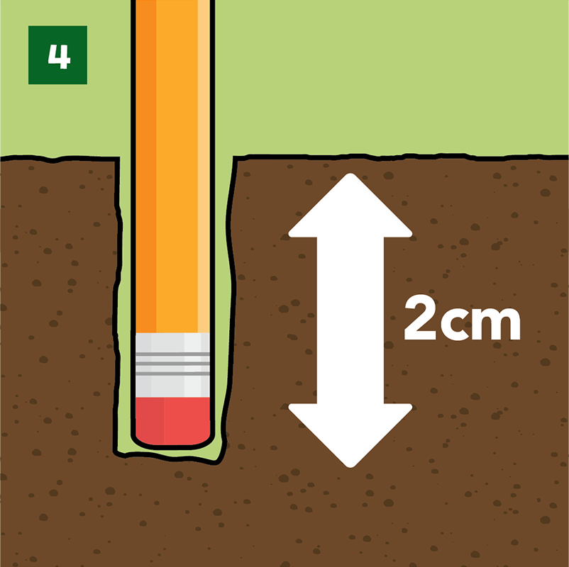 Step 4