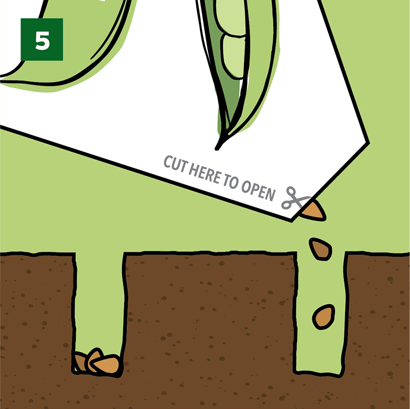 Step 5