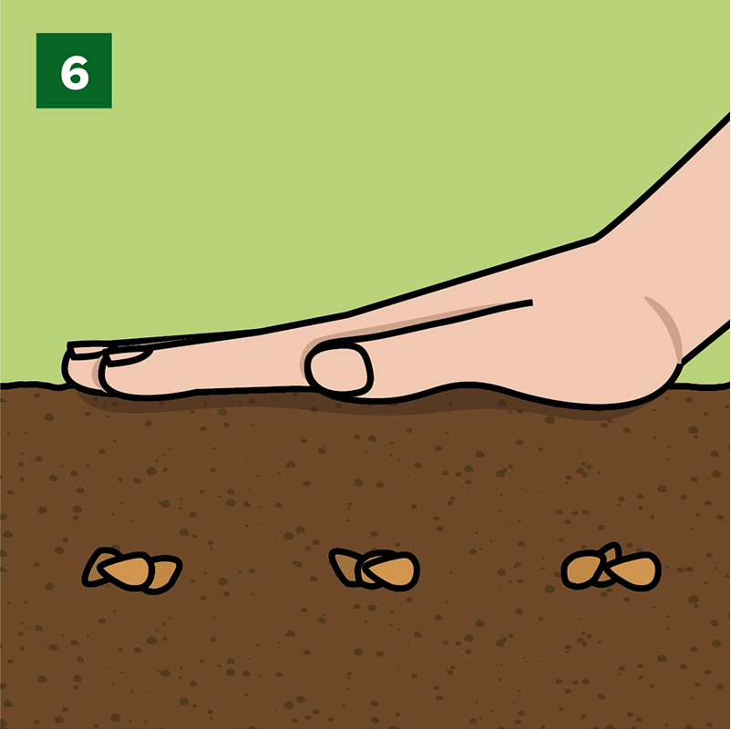 Step 6