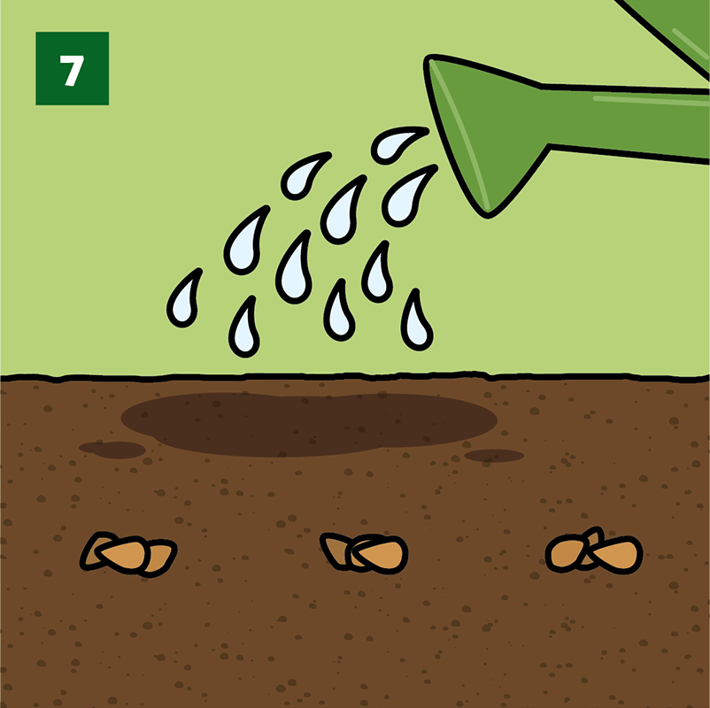 Step 7