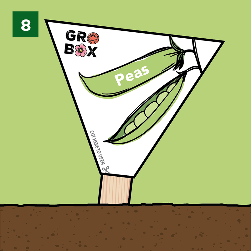 Step 8